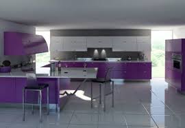 Purple Kitchens Cozinha Roxa Designs De Cozinha Interior De Cozinha