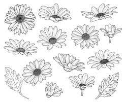What You Will Get 28 Svg Files This Format Is For Cricut Explore Silhouette Designer Edition Daisy Flower Drawing Daisy Flower Tattoos Plant Sketches