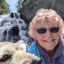 Scentsy Independent Consultant: Sandy Jarvis