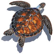 Brown Turtle W Shadow Pool Mosaic Turtle Sea Turtle Mosaic Pool