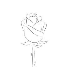 Rose Drawing Video Wie Zeichnet Man Eine Rose In Ist Ein Video Tutorial Enthalten Rose Drawing Simple Roses Drawing Rose Drawing This is art tutorial how to draw a rose easy for beginners.