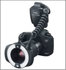 Best Flash For Macro Photography Ehab Photography