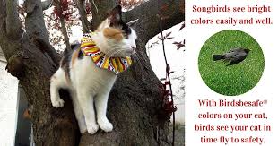 Birds Be Safe Collar We Help Birds Be Safe From Cats In 2020 Cat Collars Furry Friend Birds