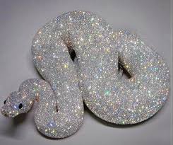 Pakistani Dentist Tired Of Her Job Starts Putting Glitters And Diamonds On Every Image And The Results Are Magical 10 Images Glitter Photography Glitter Glitter Art