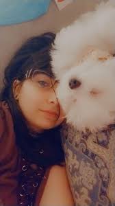 The Ravenpuff Common Room