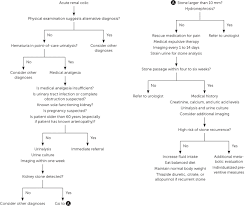 Kidney Stones Treatment And Prevention American Family Physician