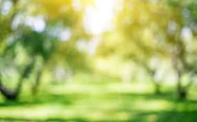 72.700+ Fondo Parque Desenfocado Fotografías de stock, fotos ...