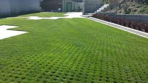 Permeable Pavers Drivable Grass Project Gallery Driveways Grass Pavers Grass Pavers Driveway Backyard Landscaping