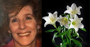 Opinion: Wisconsin youth of color helped carry Biden to victory, now we  want a seat at the table