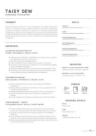 Chartered Accountant Resume Sample Cv Owl