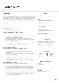 Resume format and layout guidance. Chartered Accountant Resume Sample Cv Owl