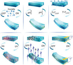 The information provided on hkdir.co is all collected from official company registers and other public data sources. Materials Actuators And Sensors For Soft Bioinspired Robots Ilami 2021 Advanced Materials Wiley Online Library