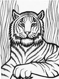 Tiger Coloring Pages Ideas With Awesome Pattern Lion Coloring Pages Animal Coloring Pages Bear Coloring Pages