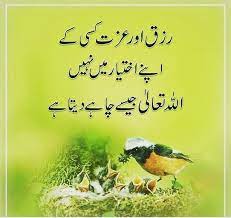 Dps amazing dps islamic dp cool dps 2021 new dps life dps awesome dps for whatsapp dentistry images for whatsapp islamic. Pin On Urdu Quotes