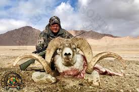 Marco Polo Argali Hunting Kyrgyzstan Tajikistan Hunting Consortium