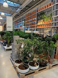 We've got all you need to stretch your green thumbs no matter how much space you've got to play with. Ultimate Guide To Ikea Almhult Swedish Furniture Store