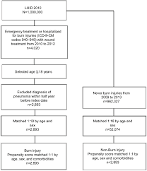 Flow Chart For Burn Injury Patients Selection