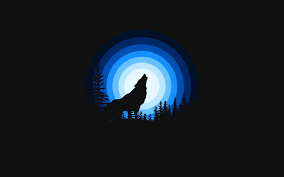 You can install this wallpaper on your desktop or on your mobile phone and other gadgets that support wallpaper. Wolf Wallpaper 4k Howling Silhouette Black Background Blue Black Dark 975