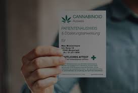 Cannabis Auf Rezept Cannabis Ausweis Cannabinoid Ausweis Online Bestellen