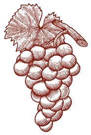 Aujourd'hui 120 coopérateurs produisent 17000 hectolitres sur 280 hectares, en vins côtes de. Caviste A La Crau Vente De Vins Dans Le Var Cellier De La Crau Cellier De La Crau