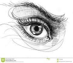 Dreamstimecom Human Eye Drawing Eye Drawing Drawings