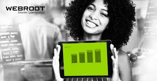 Image result for pic of webroot