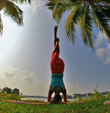 Headstand In Eagle Legs Headstand Yoga Eaglelegsheadstand Headstand Yoga Head Stand