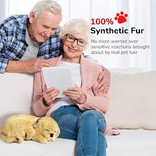 A wide variety of perfect petzzz cat options are available to you perfect petzzz cat. Original Petzzz Golden Retriever Realistic Lifelike Stuffed Interactive Pet Toy Companion Pet Dog With 100 Handcrafted Synthetic Fur Perfect Petzzz Animals Amazon Canada