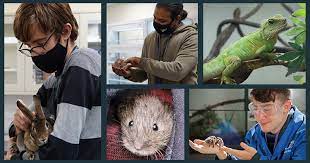 We did not find results for: Animal Care College Courses During Covid