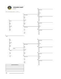 42 family tree templates for 2018 free pdf doc ppt