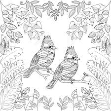 33 coloring pages adult coloring book and journal; Tropical Birds For Adult Coloring Book Page Stlyized Vector Illustration Royalty Free Cliparts Vectors And Stock Illustration Image 100204113