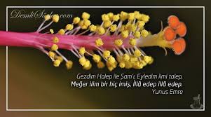 Gezdim Halep Ile Sam I Eyledim Ilmi Talep Meger Ilim Bir Hic Imis Illa Edep Illa Edep Yunus Emre Yunusemre Halep Gabriel Garcia Marquez Kadin Mutluluk