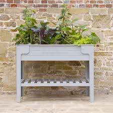 raised herb/veg garden