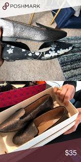 Gold Black Snake Print Shoes Snake Print Shoes Shoe Print Nordstrom Shoes
