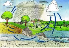 rain water harvesting recycling consultancy rainwater