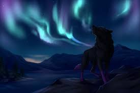 Black and white anime wolves 24 background. Animated Wolf Wallpapers On Wallpaperplay Wolf Northern Lights Background 2517712 Hd Wallpaper Backgrounds Download