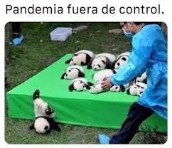 Pero Esa Es La Pandemia Mas Adorable En 2020 Memes Divertidos Memes Chistosisimos Memes Comicos