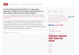 We did not find results for: Supplemental Material Guidelines For Authors Sage Publications Ltd