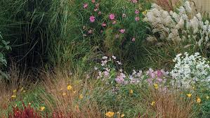 Whether you want inspiration for planning an outdoor renovation or are building a designer outdoor from scratch, houzz has 1,956,588 images from the best designers, decorators, and architects in the country, including matthew cunningham. Designing With Grasses Finegardening