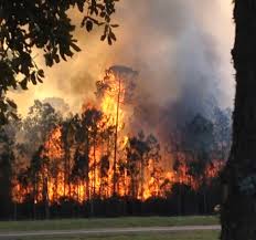 Check spelling or type a new query. Know The Law Before You Burn Walton Outdoors