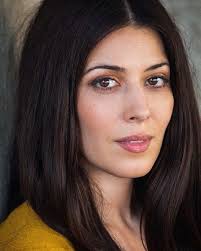 Pin by William Scheve