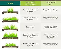 Fall Lawn Care Guide