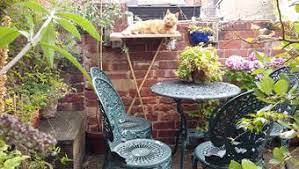Cats love to climb and they will use just about anything made of wood as a scratching post. Creating A Cat Friendly Garden Battersea