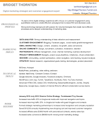 Transparente lösung für ihr suchmaschinenmarketing dank granularer steuerung. Digital Marketing Resume Of Bridget Thornton