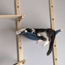 Katze Ramp Katze Mobel Katzenspielplatz In 2020 Cat Playground Cat Furniture Cat Ramp