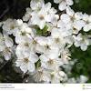 We did not find results for: Https Encrypted Tbn0 Gstatic Com Images Q Tbn And9gcsamc2ts22fo1vp4lfcxsrozruj8o3 Nmty2v1vklaacdaytjmo Usqp Cau