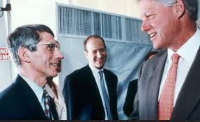 Anthony fauci lied to congress when. Dr Anthony Fauci Young Photos Details From His Career Heavy Com