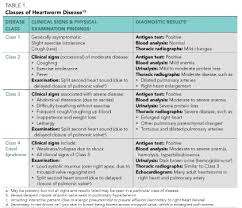 Canine Heartworm Disease Principles Of Treatment Todays