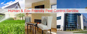 Our main motto is to satisfy our customer by proving them the best pest control solutions. Pest Control Gurgaon Pest Control Company In Gurugram 24x7pest Control Gurgaon