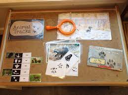 Hibernation Preschool Science Table Hibernation Preschool Science Center Preschool Winter Preschool